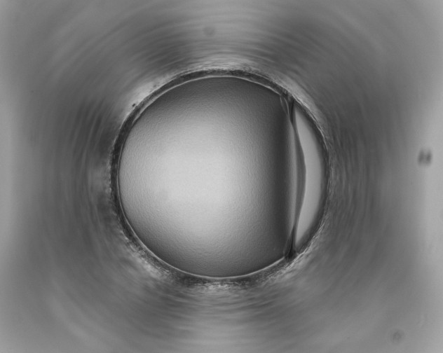 X0000091580834200709101016