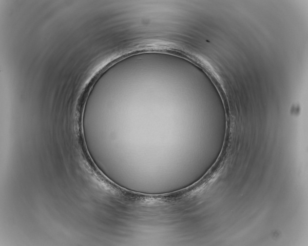 X0000091580835200709101016