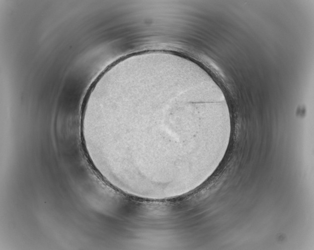 X0000091580836200709101016