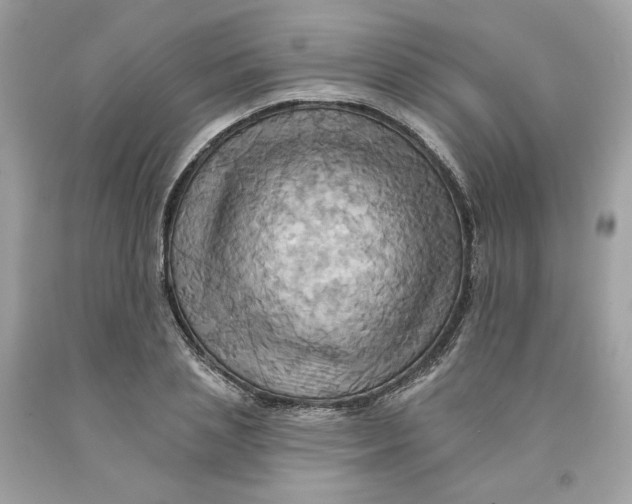 X0000091580837200709101016