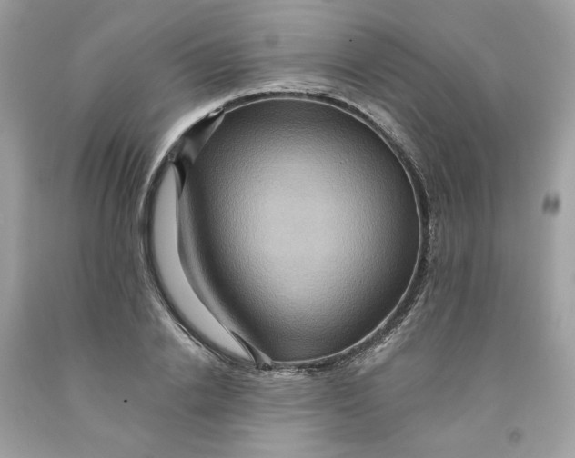 X0000091580838200709101016