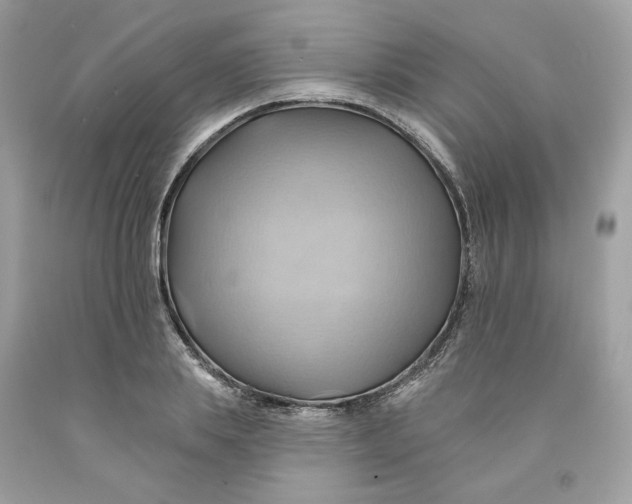 X0000091580839200709101016