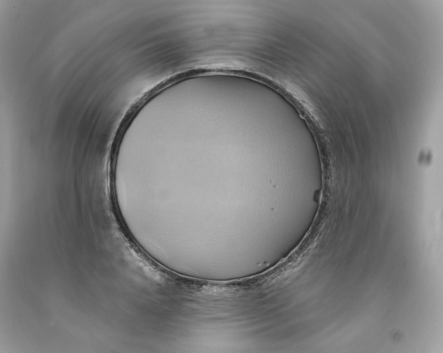 X0000091580840200709101016