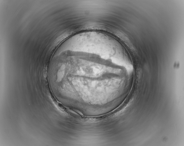 X0000091580841200709101016