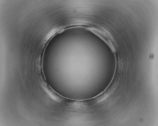 X0000091580842200709101016