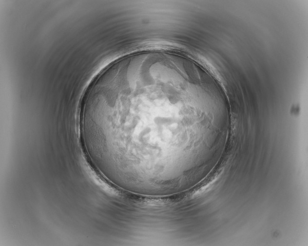 X0000091580843200709101016