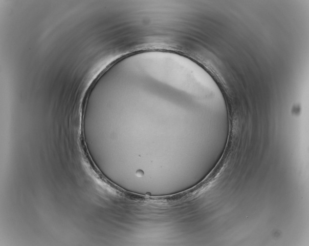 X0000091580844200709101017