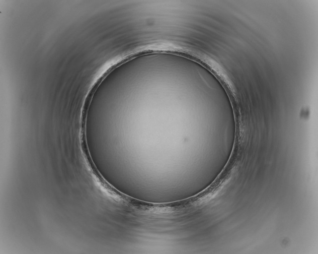 X0000091580845200709101017