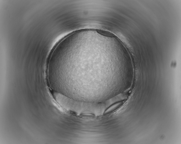 X0000091580846200709101017