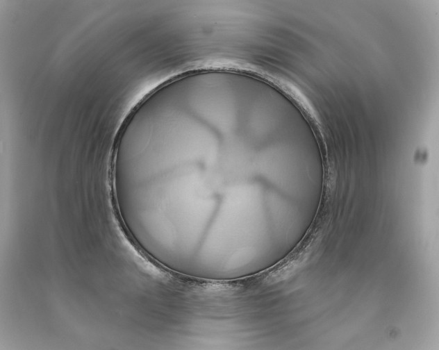 X0000091580847200709101017