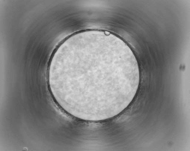 X0000091580848200709101017