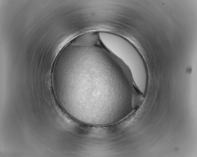 X0000091580850200709101017