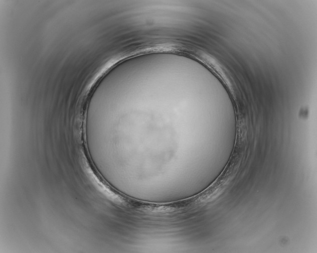 X0000091580851200709101017