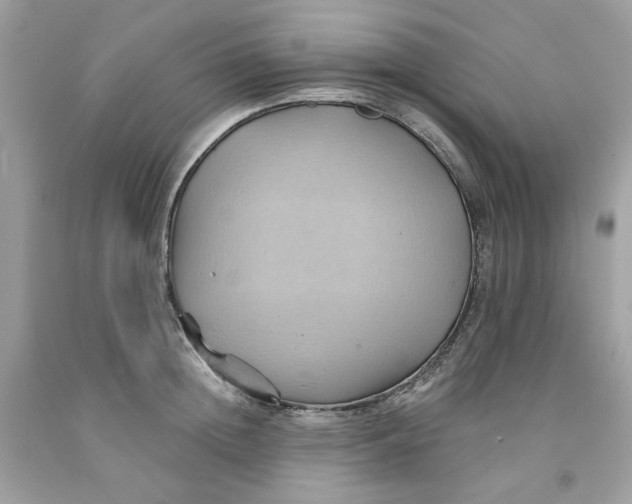 X0000091580852200709101017