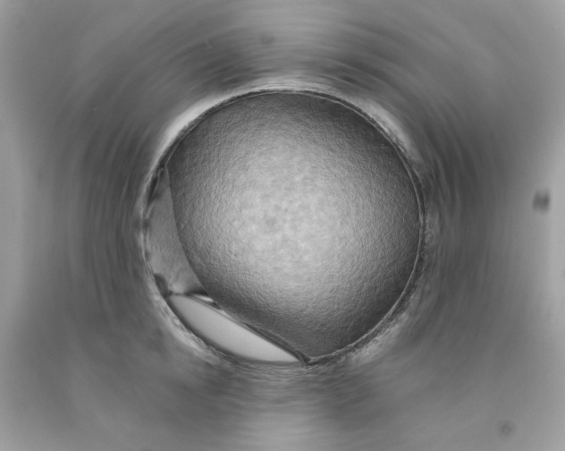 X0000091580854200709101017