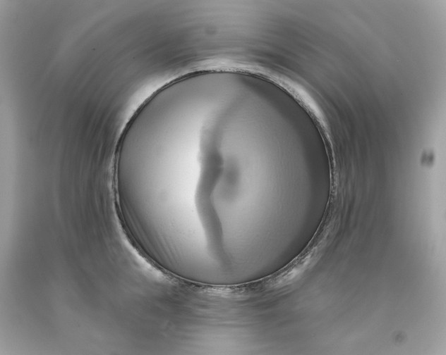 X0000091580855200709101017