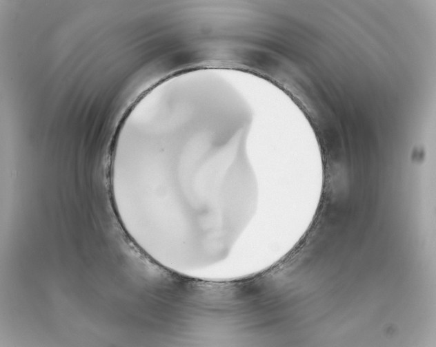 X0000091580856200709101017