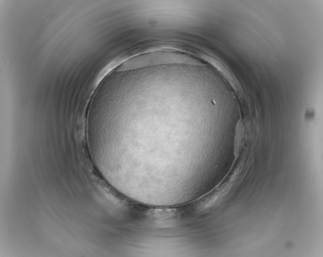 X0000091580858200709101017