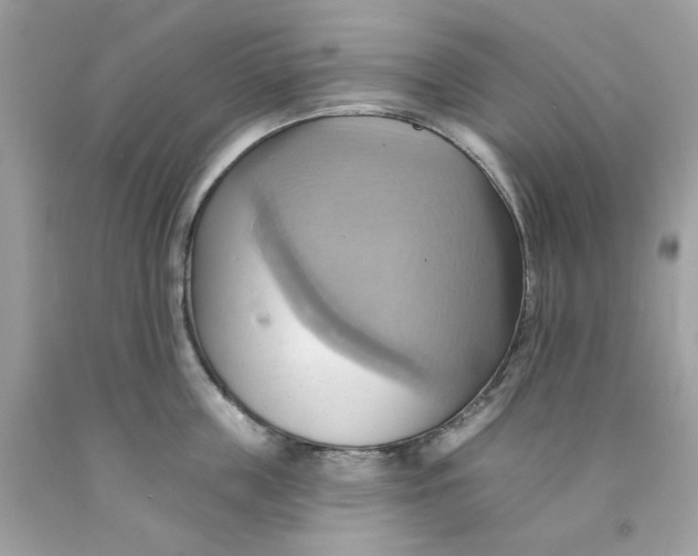 X0000091580859200709101017