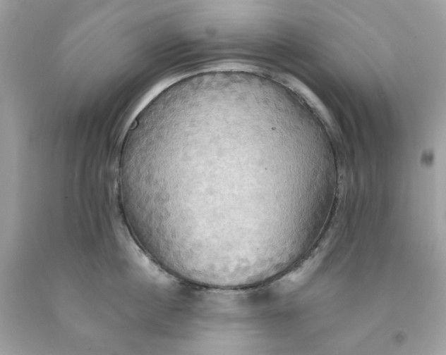 X0000091580860200709101017