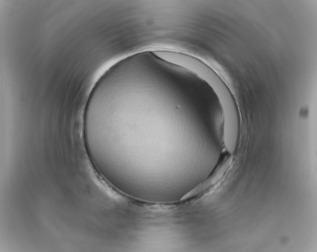 X0000091580862200709101017