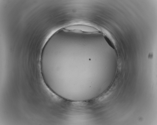 X0000091580863200709101017