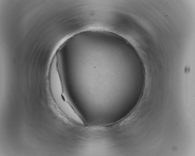 X0000091580864200709101017