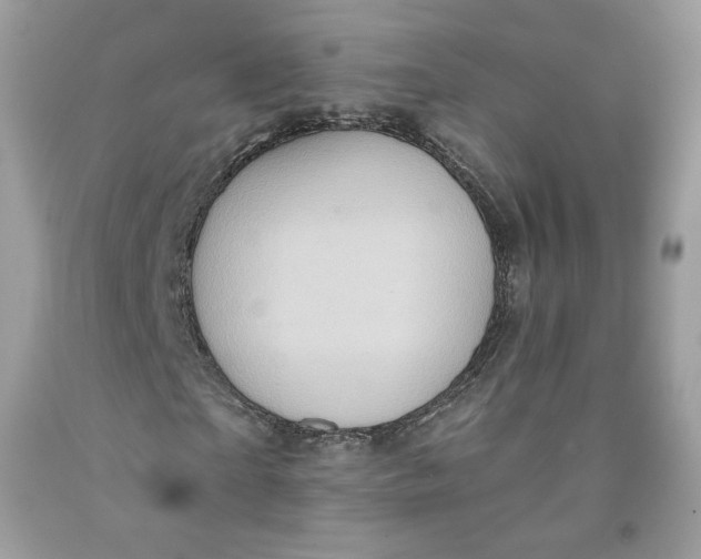 X0000091580865200709101016