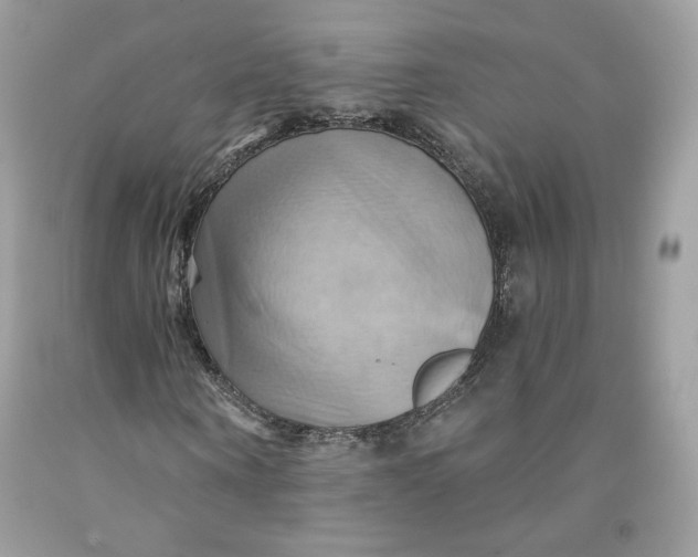 X0000091580866200709101016