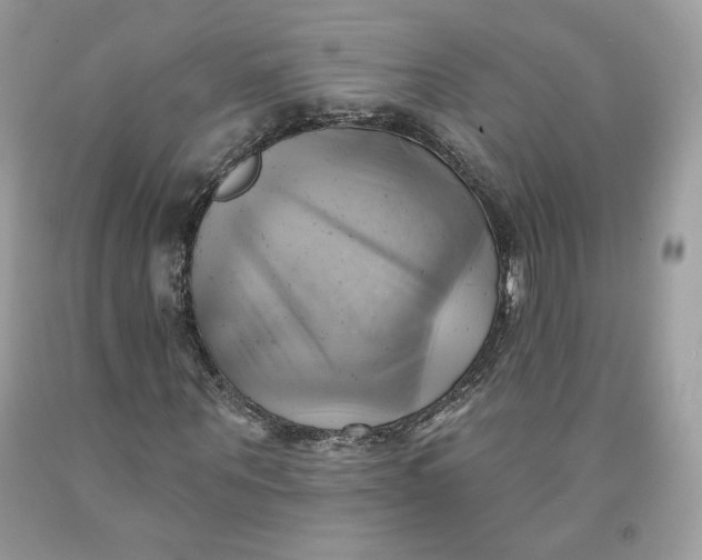 X0000091580867200709101016