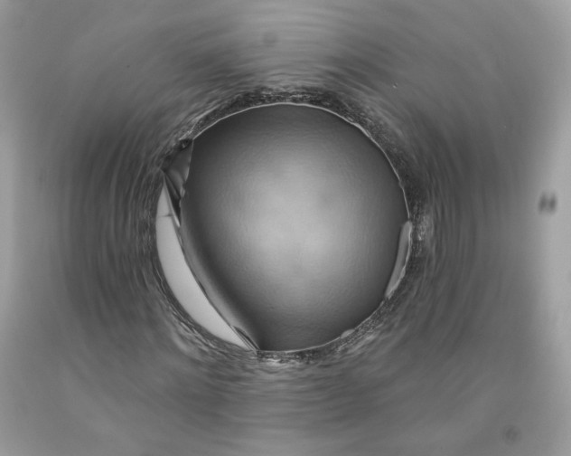 X0000091580868200709101016