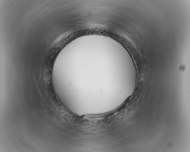 X0000091580869200709101016