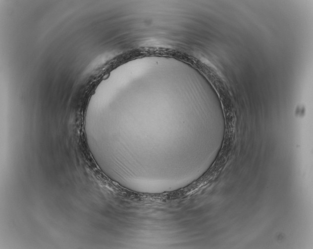 X0000091580870200709101016