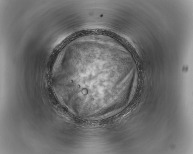 X0000091580871200709101016