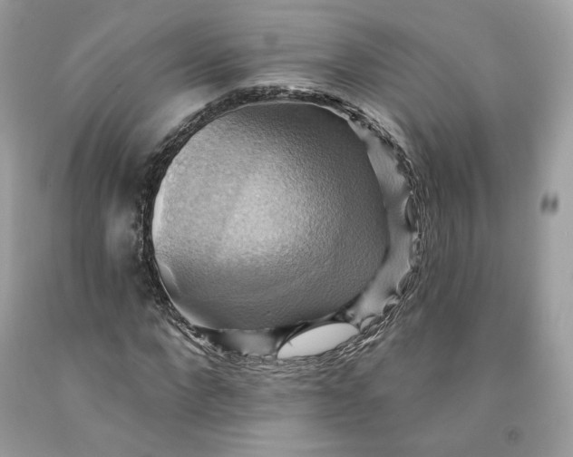 X0000091580872200709101016