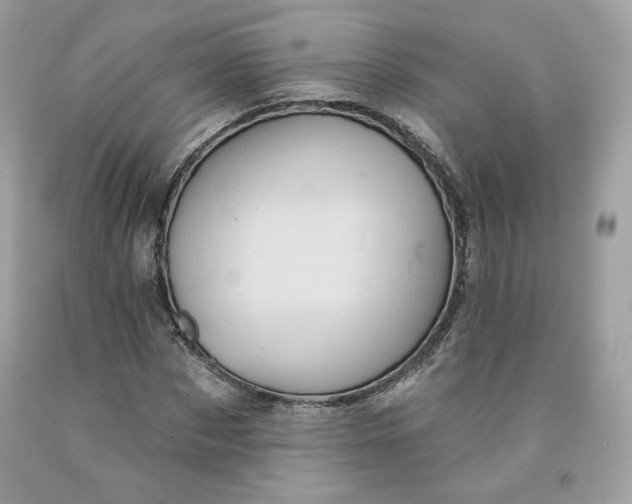 X0000091580873200709101016