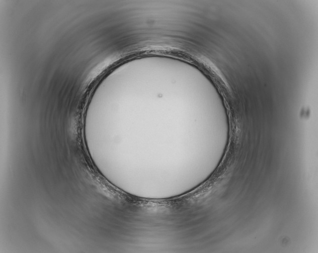 X0000091580874200709101016