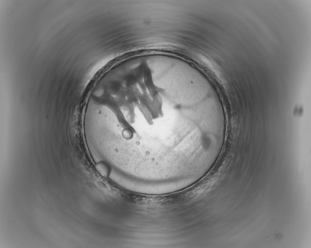 X0000091580875200709101016