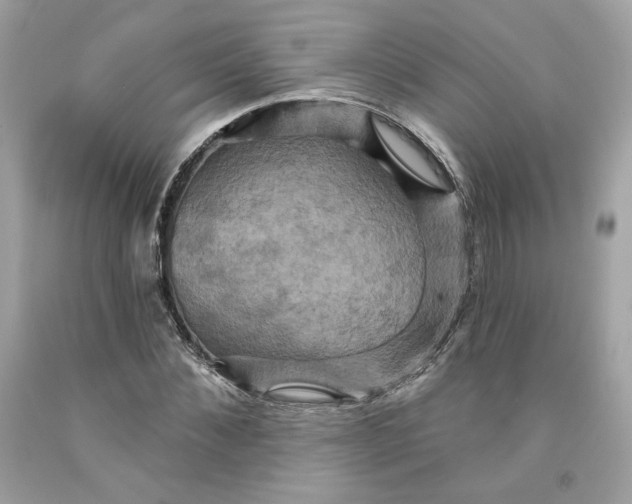 X0000091580876200709101016