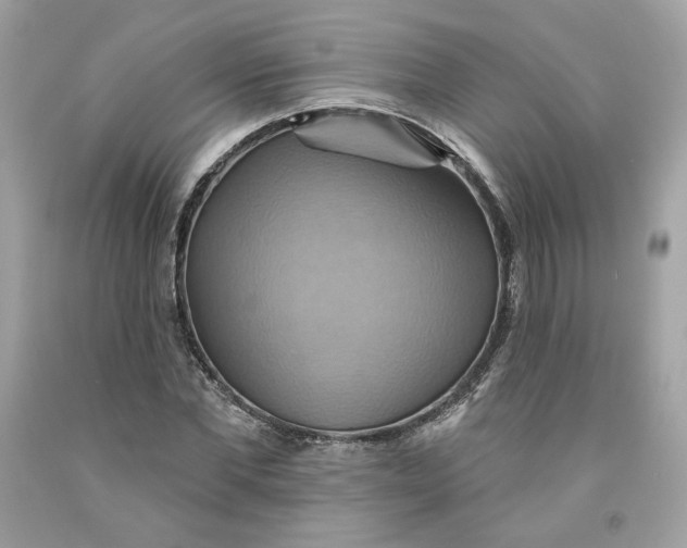 X0000091580877200709101016