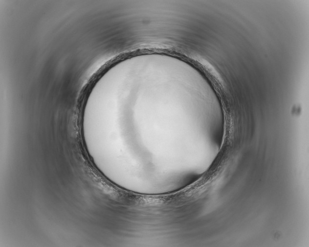 X0000091580878200709101016