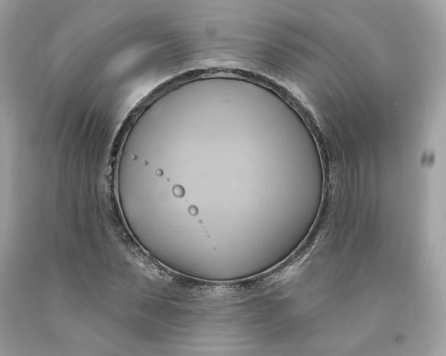 X0000091580879200709101016