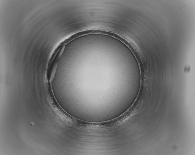 X0000091580880200709101016