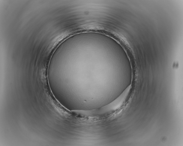 X0000091580881200709101016