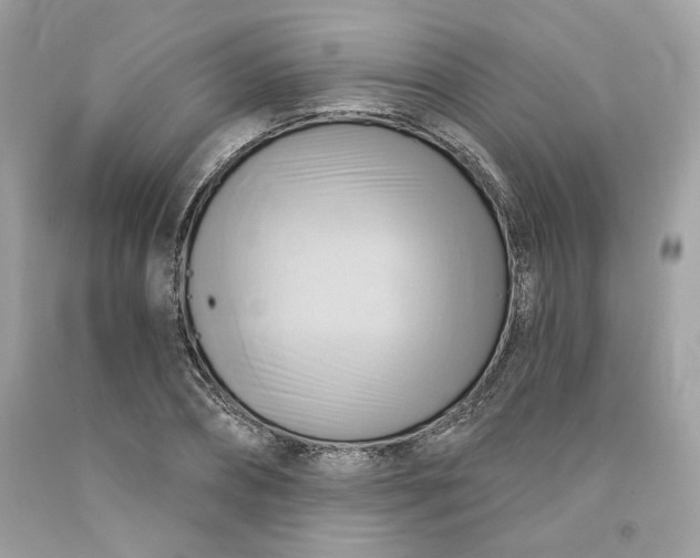 X0000091580882200709101016