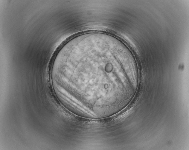 X0000091580883200709101016