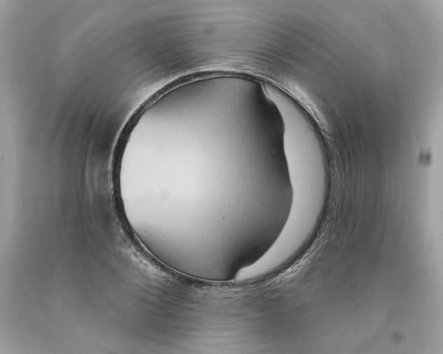 X0000091580884200709101016