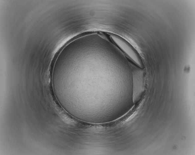 X0000091580885200709101016