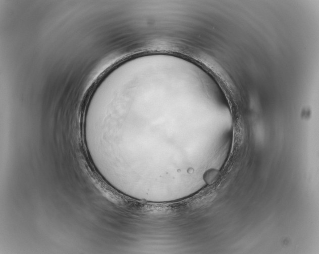 X0000091580886200709101016