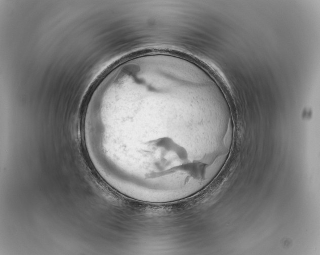 X0000091580887200709101016